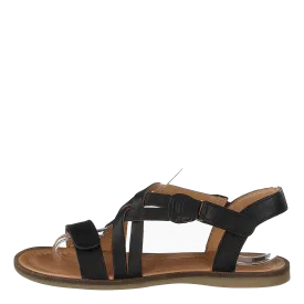 71934.119.205 Black